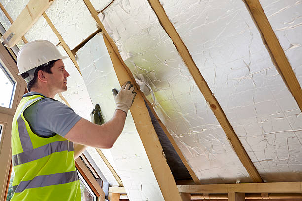 Best Professional Insulation Contractor  in Indian Springs Village, AL